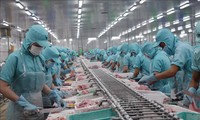Экспорт вьетнамских морепродуктов будет быстро восстановлен