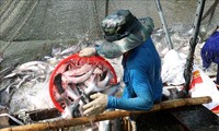 Экспорт морепродуктов вырос на 2,2%