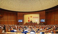 Национальное собрание Вьетнама рассматривает доклады о результатах работы органов правосудия