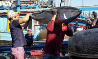 Экспорт вьетнамского тунца резко вырос