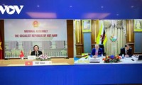Председатель Нацсобрания Вьетнама провел переговоры по видеосвязи с председателем Законодательного совета Брунея