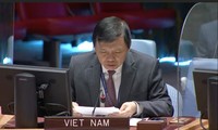 Вьетнам обеспокоен продолжающимся насилием, экстремизмом и расизмом на Восточном берегу