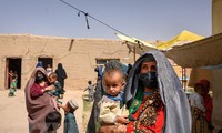 Ряд стран выступили с заявлением в защиту афганских женщин и девочек