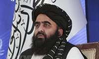 Делегация «Талибана» прибудет в Россию для обсуждения ситуации в Афганистане