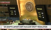 ООН приняла проект резолюции, призывающей к  полной ликвидации ядерного оружия