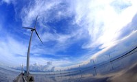 Индия и АСЕАН могут сотрудничать с развитии  экосистемы возобновляемой энергии