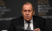 Глава МИД РФ отметил продвижение вперед на переговорах с Украиной