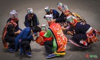 Программа «Яркие краски культуры вьетнамских народностей»
