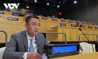 Вьетнам принял участие в заседании по гуманитарным вопросам Социально-экономического совета ООН