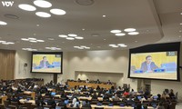 Вьетнам представил АСЕАН на заседании  Комитета Генеральной Ассамблеи ООН по социальным, гуманитарным и культурным вопросам.
