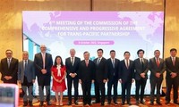 Вьетнам принял участие в 6-м заседании совета CPTPP