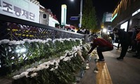 Труп вьетнамской гражданки, погибшей в давке в Сеуле, доставят на Родину 2 ноября