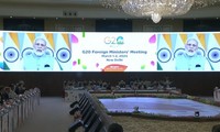 В Нью-Дели началась встреча министров иностранных дел стран G20