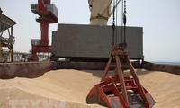 ЕК запретила экспорт зерна с Украины в пять стран Восточной Европы
