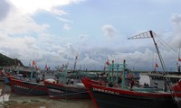 Тханьхоа активизирует пропаганду борьбы с незаконным рыболовством 
