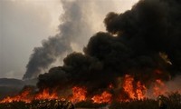 Пожары на Гавайских островах: число погибших возросло до 89, ущерб оценивается в 6 млрд долларов