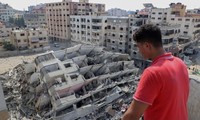 Израильская армия менее чем за неделю сбросила в сектор Газа 4000 тонн бомб и боеприпасов