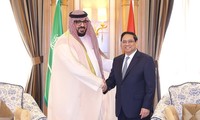Премьер-министр Фам Минь Тинь принял глав разных министерств Саудовской Аравии