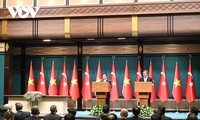 Премьер-министр Фам Минь Тинь и вице-президент Турции провели встречу со СМИ 