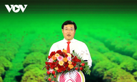 Открылся фестиваль декоративных цветов Шадек в провинции Донгтхап