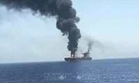 Совбез ООН просит хуситов прекратить нападения на коммерческие суда в Красном море