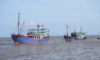 Bà Rịa - Vũng Tàu: Tiếp nhận 239 ngư dân do phía Indonesia trao trả 