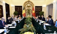 Tham vấn chính trị giữa Việt Nam và Bỉ