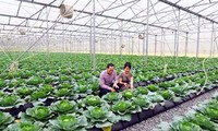 Việt Nam quan tâm phát triển thị trường nông nghiệp hữu cơ