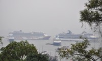 4 tàu biển quốc tế đưa hơn 6.200 du khách đến Hạ Long