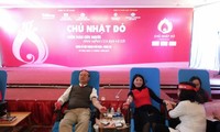Nghệ An: Ngày chủ nhật thu gần 1000 đơn vị máu tình nguyện