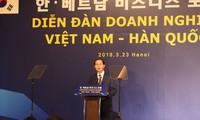Diễn đàn doanh nghiệp Việt Nam - Hàn Quốc