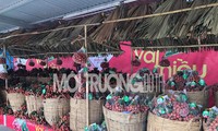 Khai mạc Tuần lễ vải thiều Lục Ngạn-Bắc Giang tại Hà Nội 