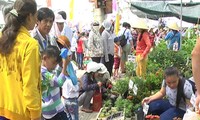 Du lịch Việt Nam: “Cây, trái an toàn – Du lịch thân thiện” 