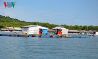 Kiên Giang phát triển kinh tế biển