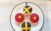 Việt Nam - Thụy Điển, 50 năm quan hệ hợp tác hướng tới tương lai