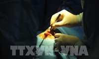 Chuyên gia Hàn Quốc phẫu thuật miễn phí dị tật khe hở vòm miệng cho trẻ em Việt Nam