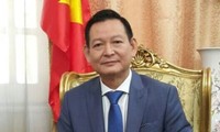 Đại sứ quán Việt Nam tại Ai Cập sẵn sàng bảo hộ công dân ở Libya