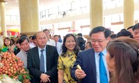 Phó thủ tướng Vương Đình Huệ dự Diễn đàn sản xuất, tiêu thụ vải thiều Bắc Giang