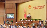 Quốc hội thảo luận về Dự án Bộ Luật lao động (sửa đổi)