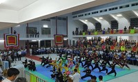 Tỉnh Bình Định tổ chức giải võ cổ truyền các võ đường