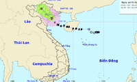 Cường độ bão số 2 (Mun) không mạnh lên, đổ bộ vào đất liền sáng ngày 4/7