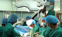 Hợp tác Việt Nam - Nhật Bản trong đào tạo, phát triển nguồn nhân lực ngành Y tế