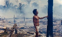 Cháy rừng Amazon không còn là chuyện riêng của từng quốc gia