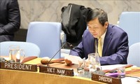 Hội đồng Bảo an LHQ thảo luận về tình hình Mali dưới sự chủ trì của Việt Nam