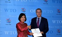  Việt Nam cam kết tiếp tục phối hợp tích cực, chặt chẽ với WTO 