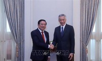Singapore mong muốn đẩy mạnh quan hệ hợp tác nhiều mặt với Việt Nam    