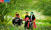 Tục “búa phàn tziu” cho trẻ sơ sinh, nét văn hóa tín ngưỡng  của người Dao tiền ở Sơn La