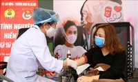 Trung ương Hội Liên hiệp Thanh niên Việt Nam phát động hiến máu tình nguyện