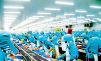 Dự báo 2 kịch bản tăng trưởng kinh tế Việt Nam năm 2020