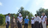 Hỗ trợ nạn nhân bom mìn hai tỉnh Quảng Bình, Bình Định ứng phó đại dịch COVID-19 